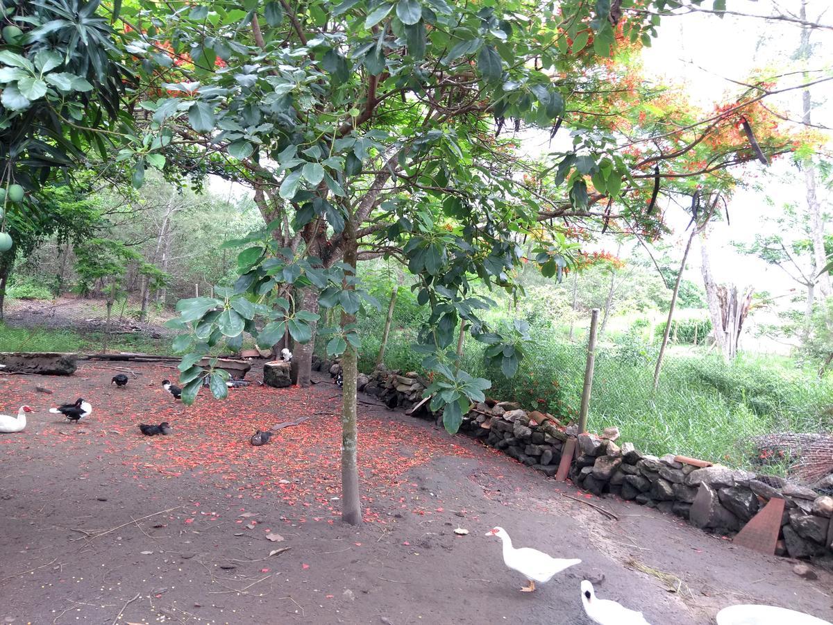 Casa da Mamãe Barra de Sao Joao Exterior foto